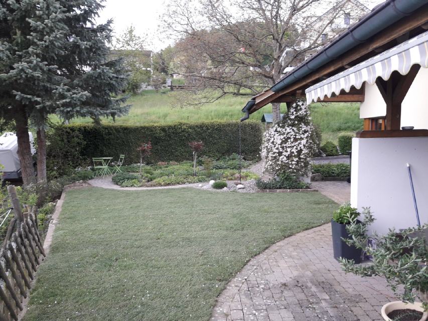 Frisch verlegter Rollrasen in einem Garten mit Konzept