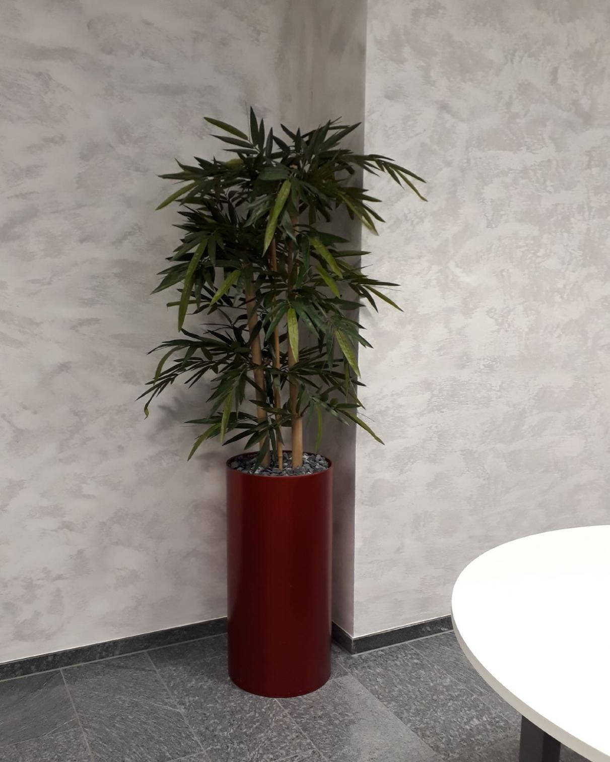 Grün macht Raumklima